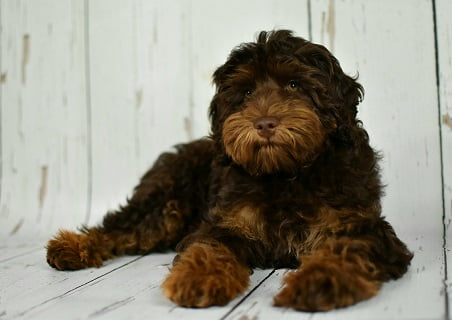 Billy