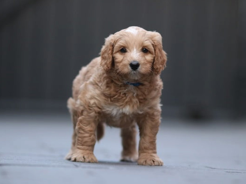 Barry