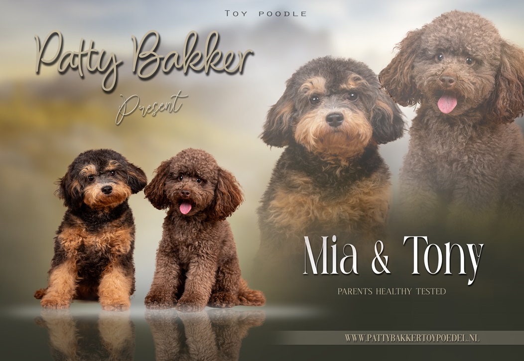 Mia babies