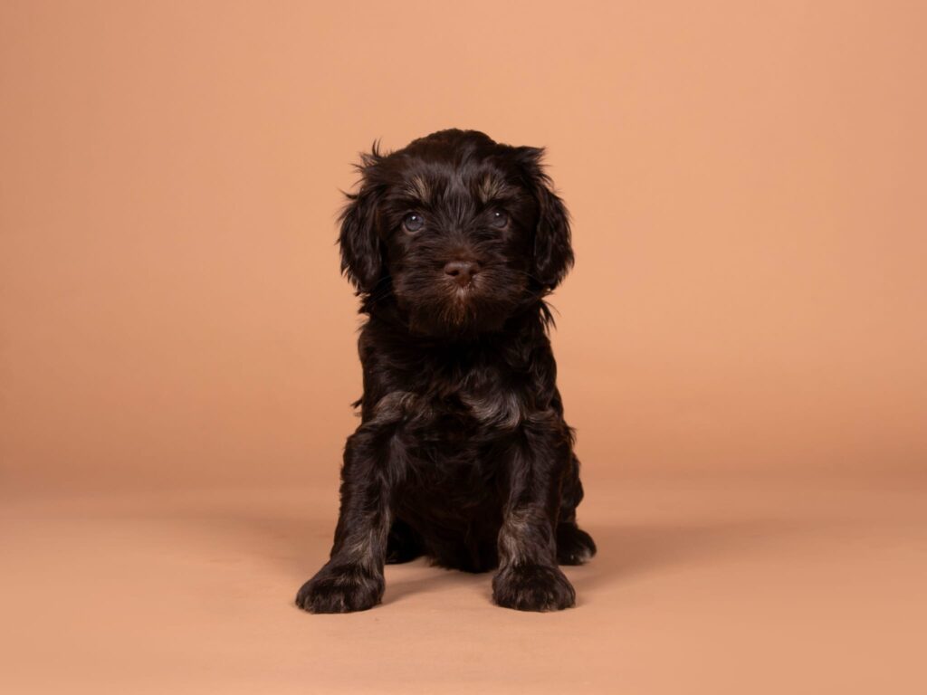 Quincy