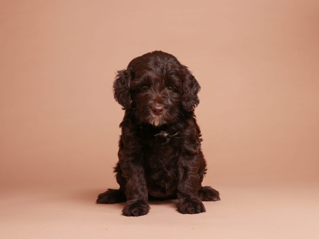 Ruby
