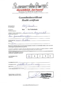 Ellebogen