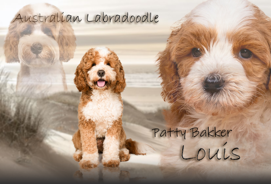 Louis